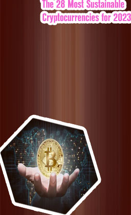 Cryptocurrency new coins